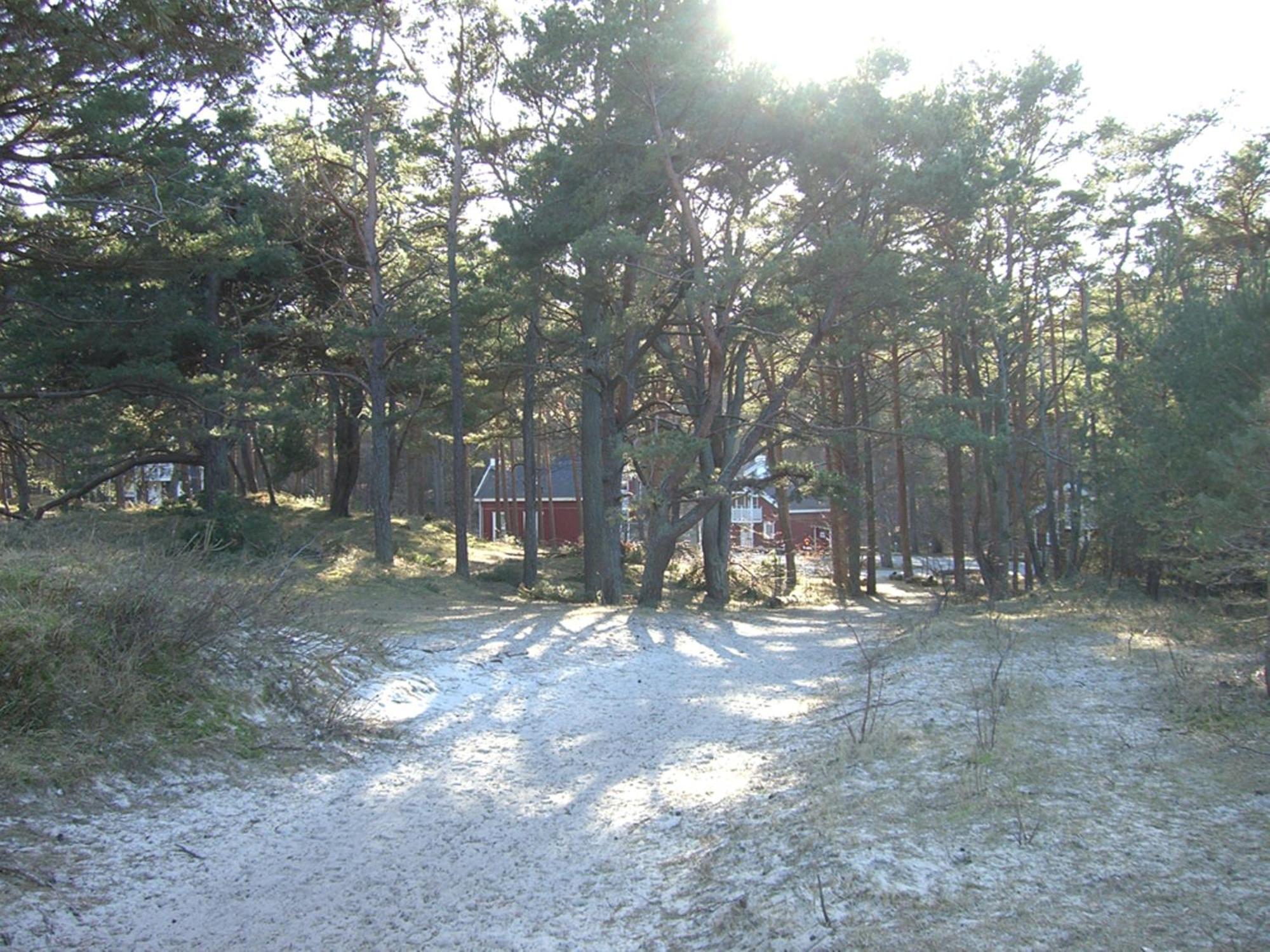 Haus Sandra Baabe Exterior foto